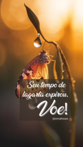 23 Lições das borboletas sobre transformação e paciência