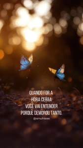 23 Lições das borboletas sobre transformação e paciência