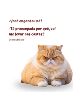 Frases Divertidas da Eterna Guerra com a Balança (11)