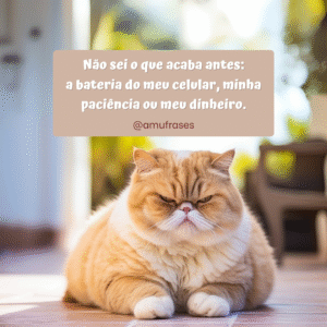 Frases de humor para rir da vida financeira