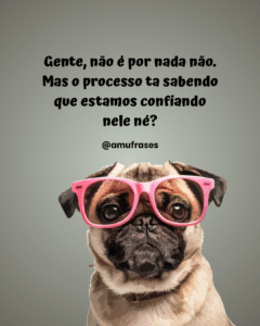 Frases divertidas sobre rir da própria loucura (2)