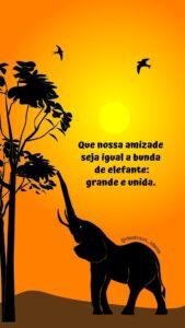 Frases para enviar a amiga que te entende até no silêncio