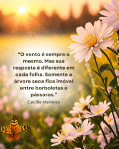 Reflexões de Cecília Meireles sobre vida e tempo