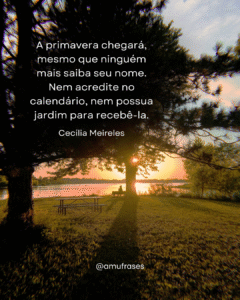 Reflexões de Cecília Meireles sobre vida e tempo