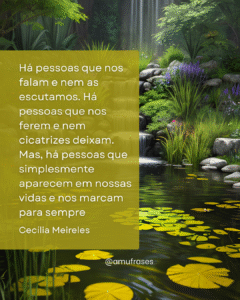 Reflexões de Cecília Meireles sobre vida e tempo