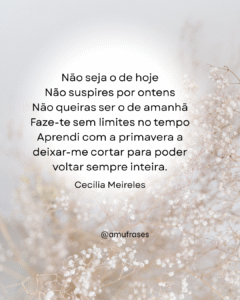 Reflexões de Cecília Meireles sobre vida e tempo