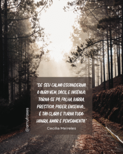 Reflexões de Cecília Meireles sobre vida e tempo