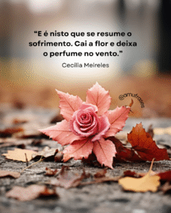 Reflexões de Cecília Meireles sobre vida e tempo