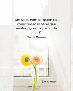 Reflexões de Cecília Meireles sobre vida e tempo