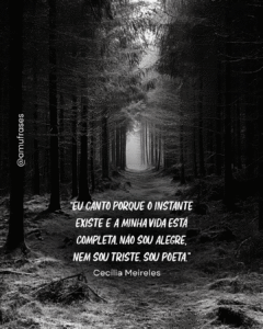 Reflexões de Cecília Meireles sobre vida e tempo