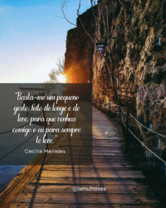 Reflexões de Cecília Meireles sobre vida e tempo