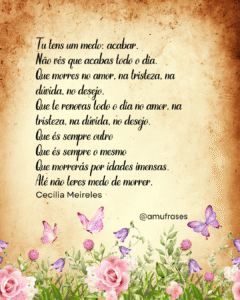 Reflexões de Cecília Meireles sobre vida e tempo