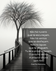 Reflexões de Cecília Meireles sobre vida e tempo