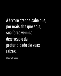 Frases impactantes para status do WhatsApp